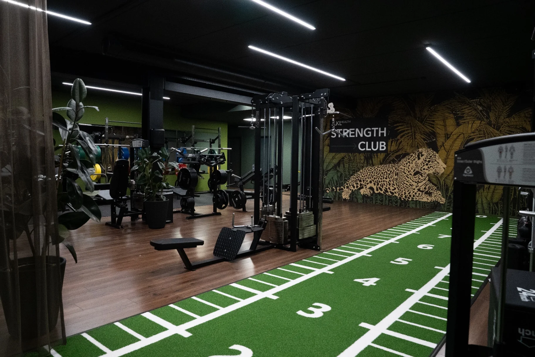 Trainingsfläche im Strength Club Dornbirn